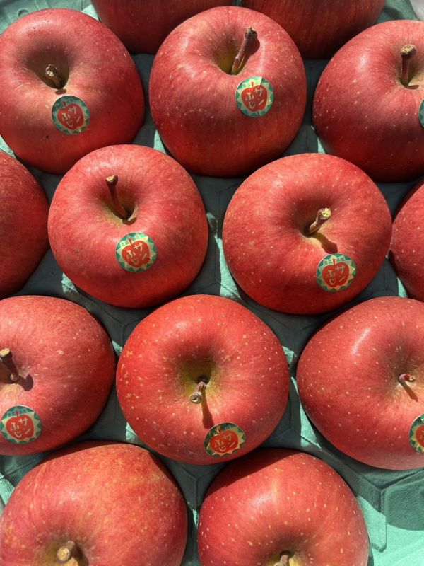 日本青森蜜富士蘋果 