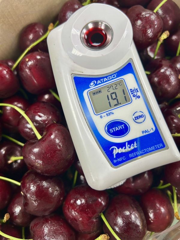 巨無霸-智利櫻桃 32mm 