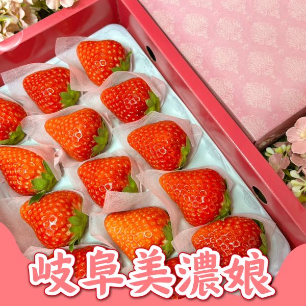 日本岐阜美濃娘 