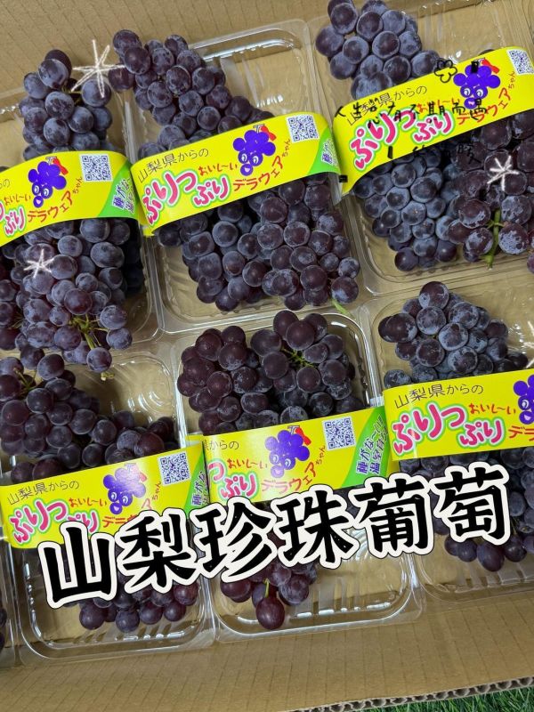 山梨珍珠葡萄PC盒 