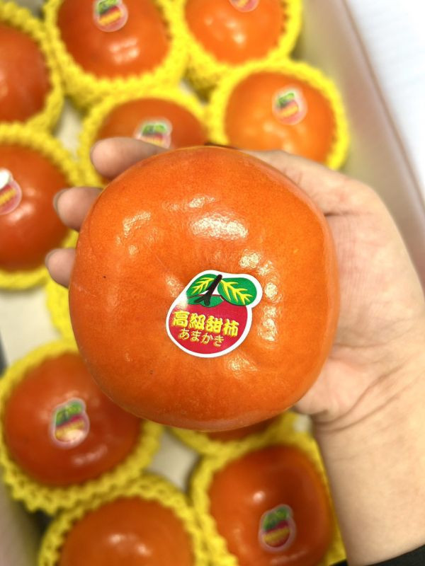 <少量零購>合歡山翠峰甜柿 