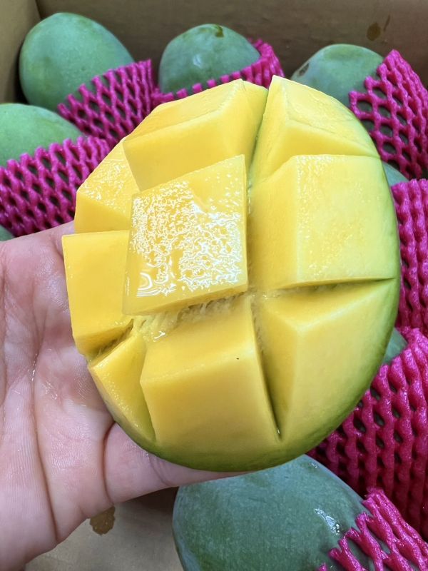 黑香芒果 