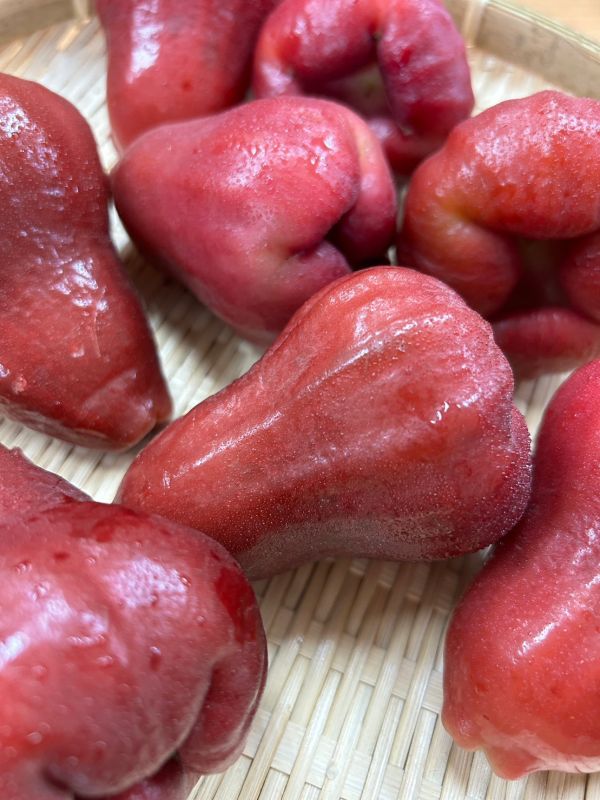 <少量零購>黑糖芭比蓮霧 