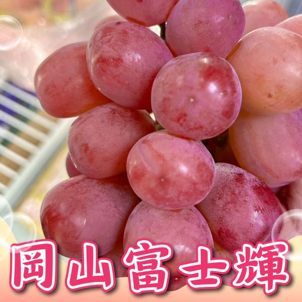 日本岡山富士輝紅葡萄 