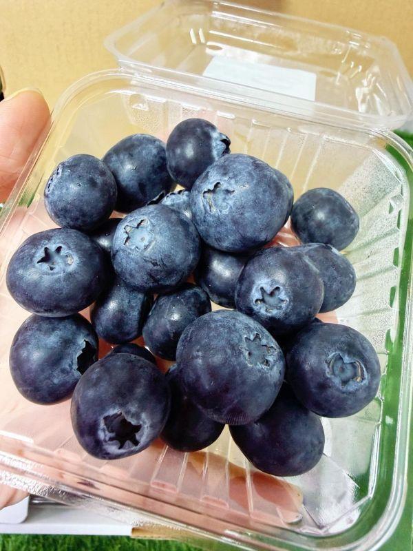 <少量零購>日本德島藍莓 