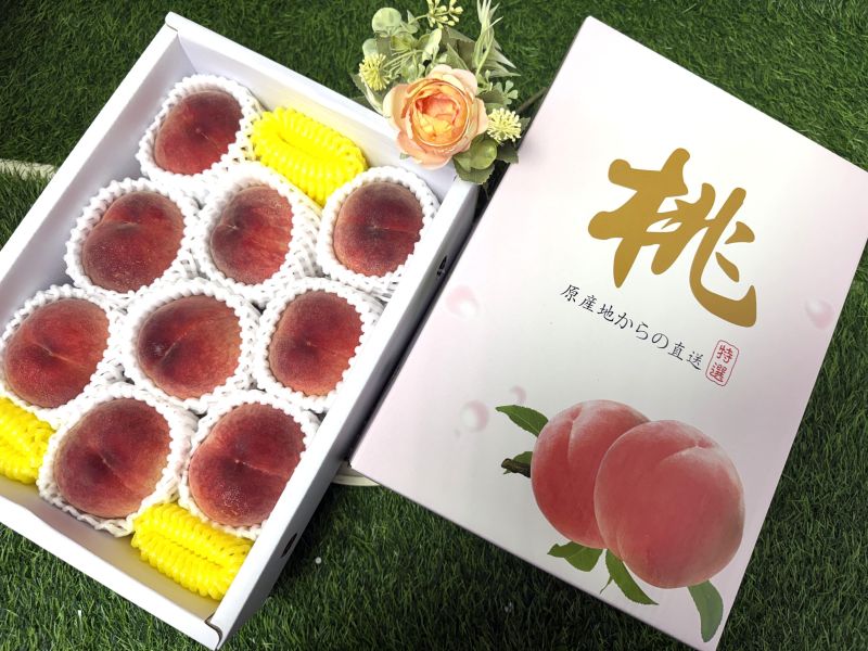 日本山梨 日川白鳳桃 