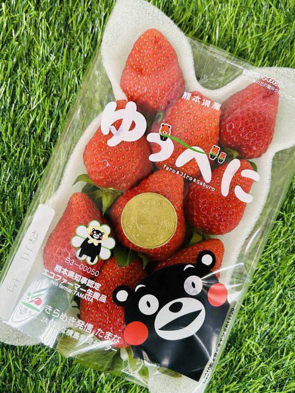 <少量零購>日本熊本草莓 
