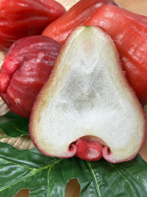 <少量零購>黑糖芭比蓮霧 