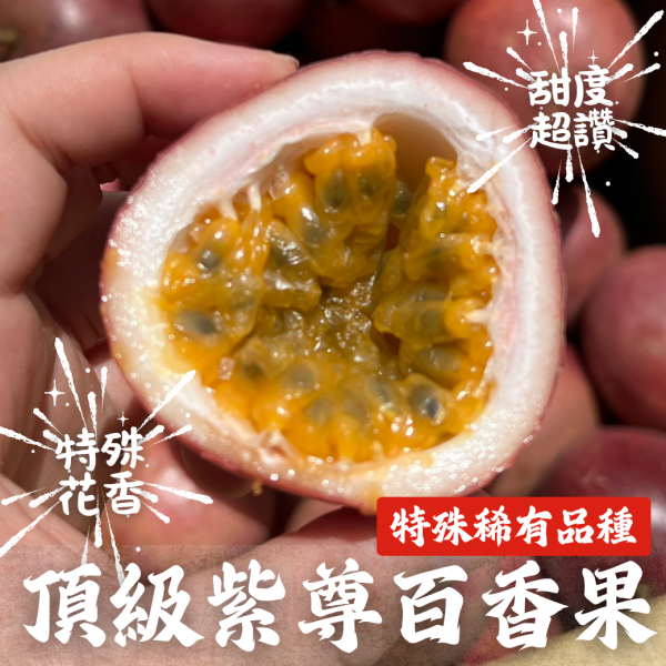 【特殊稀有】頂級紫尊百香果 