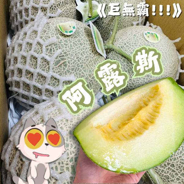 【大果】阿露斯綠肉哈密瓜 