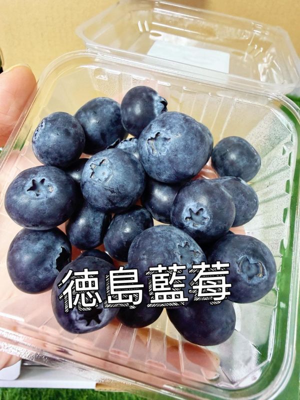 日本德島藍莓 