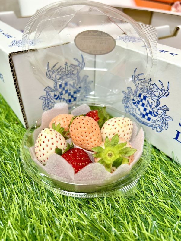 <少量零購>日本三色草莓小圓盒 