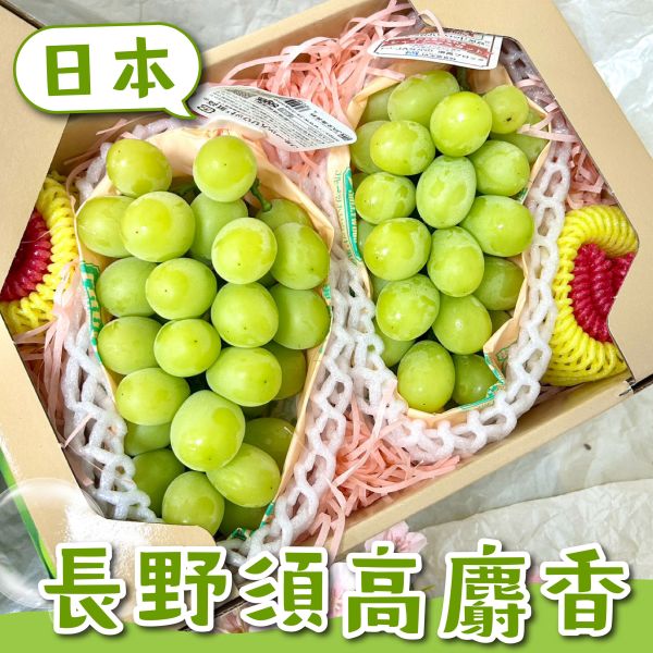 【日本長野須高】麝香葡萄 
