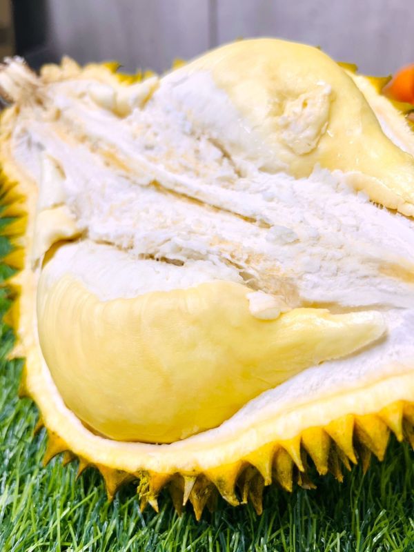 【泰國】金枕頭榴槤 