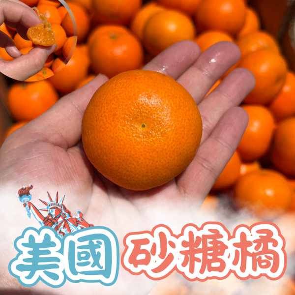 美國砂糖橘 