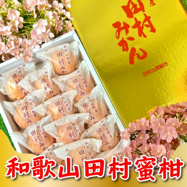 和歌山田村蜜柑 