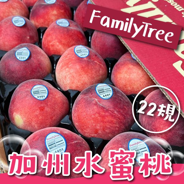 Family Tree加州水蜜桃【22規】 