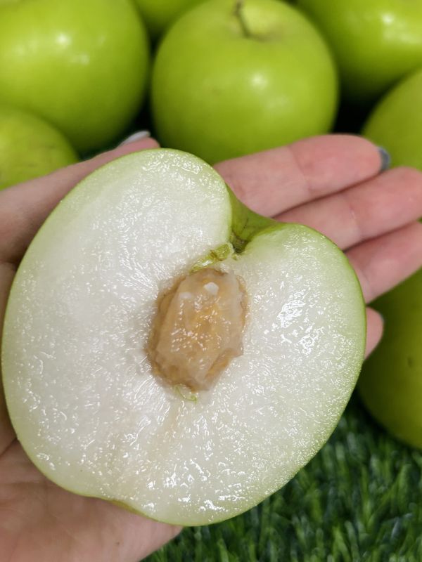 <精緻禮盒>S027棗想團圓手提禮 