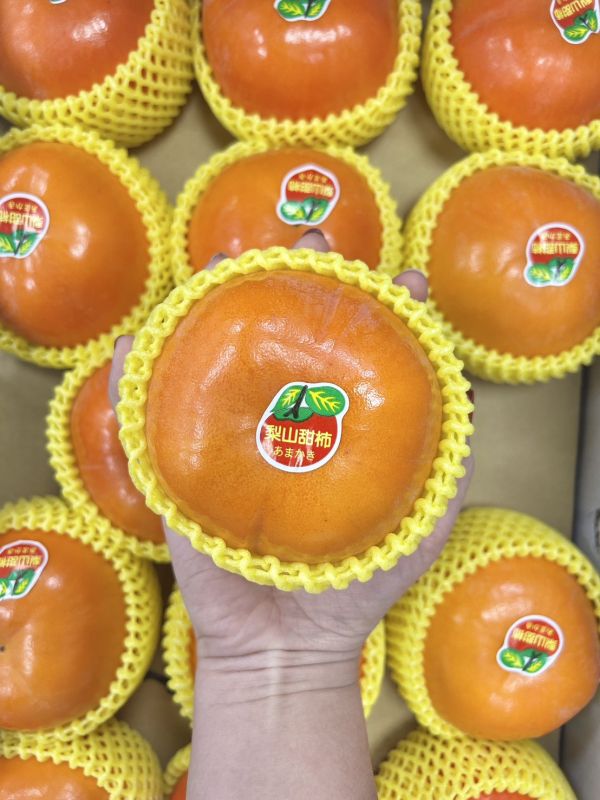梨山甜柿 