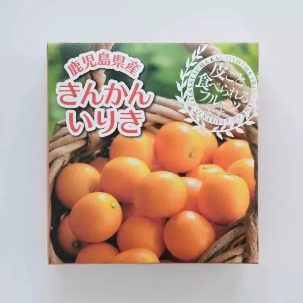 鹿兒島<排排站>金桔禮盒 