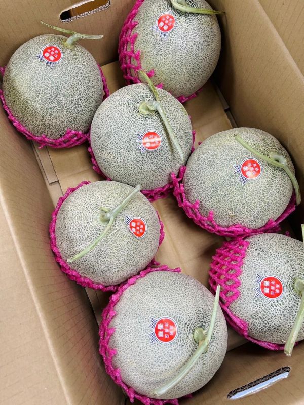 香華高級哈密瓜 