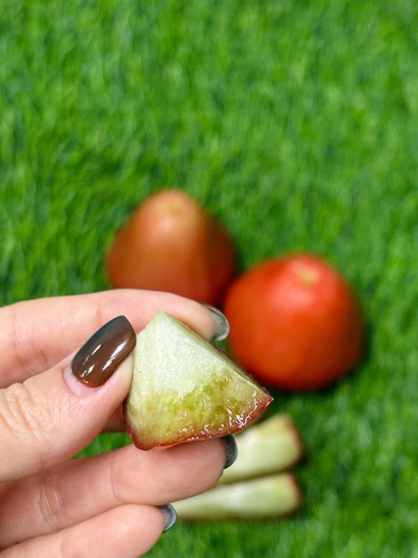 <少量零購> 黑珍珠蓮霧 