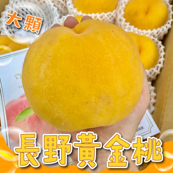 【極度稀有】長野黃金桃 