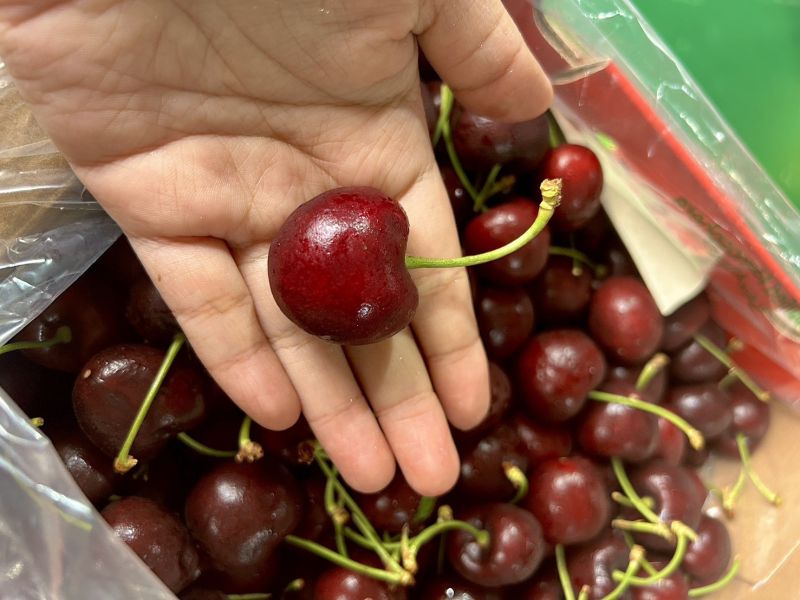 【32mm】智利<吉制櫻桃> 