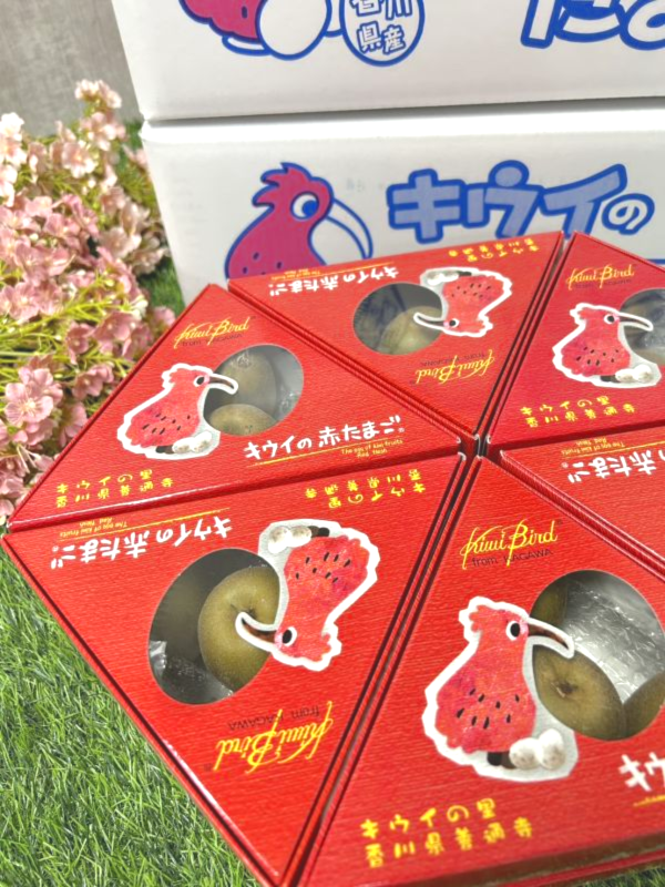 日本香川紅心奇異果 