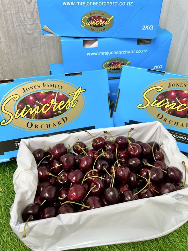 紐西蘭陽光櫻桃【30mm】 