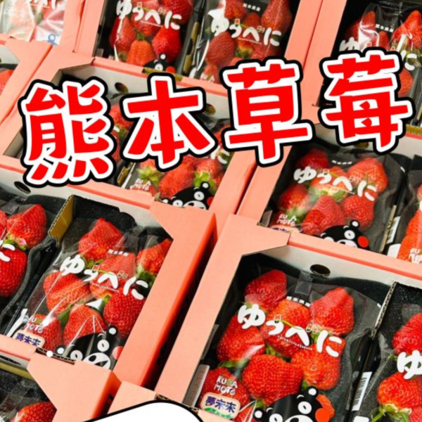 日本熊本草莓(限時下殺) 