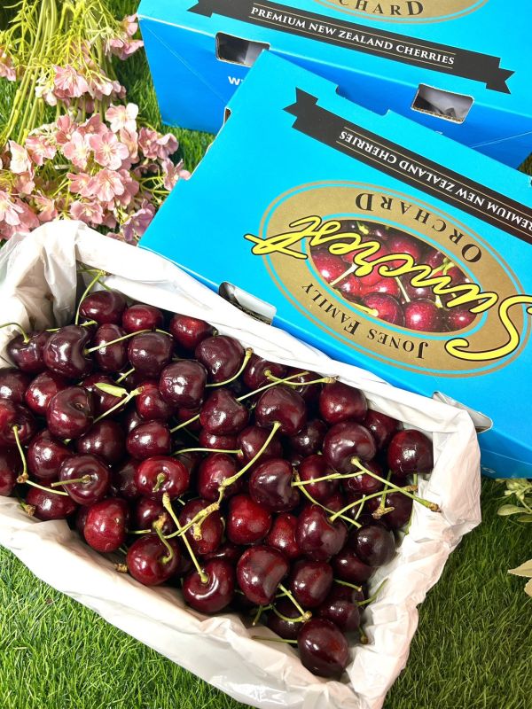 紐西蘭陽光櫻桃【30mm】 