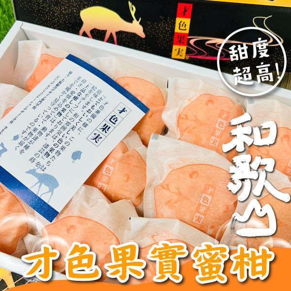 <當日配送>S031和歌山"才色果實"蜜柑禮 