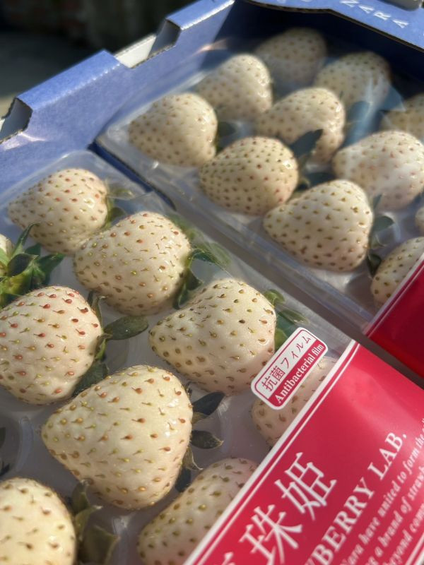 <少量零購>日本奈良白珍珠草莓 