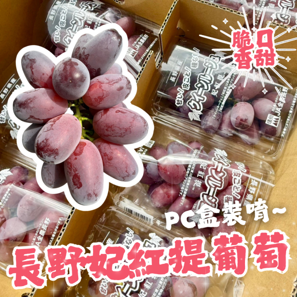 日本長野妃紅緹PC盒 