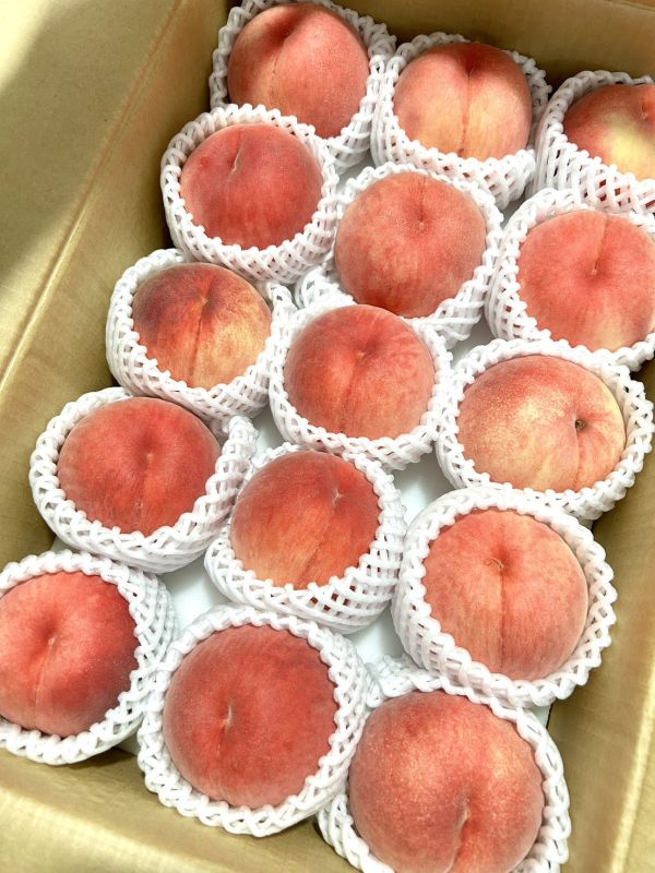 (香氣冠軍)日本山形縣白桃 