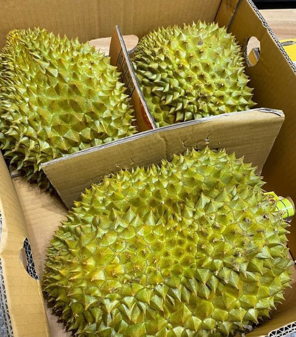 泰國黑象牌榴槤 