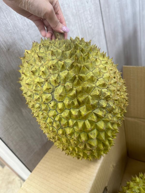 <少量零購>干堯榴槤(單顆) 