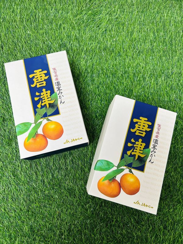 就柑心~日本唐津蜜柑禮盒 