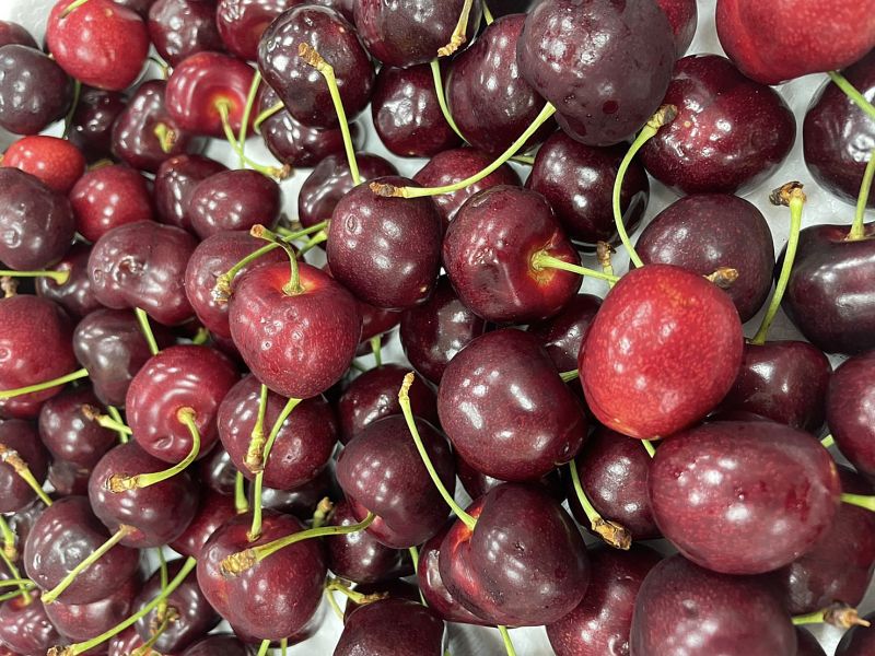 紐西蘭櫻桃【30mm】 