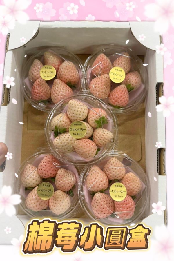 日本奈良棉莓小圓盒 