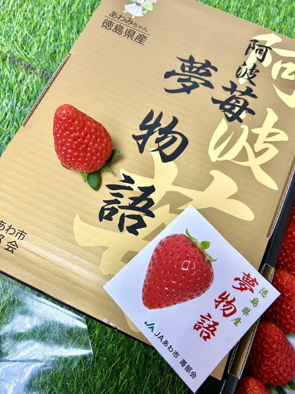 日本德島【阿波莓】夢物語 