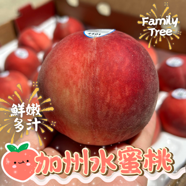 Family Tree加州水蜜桃 