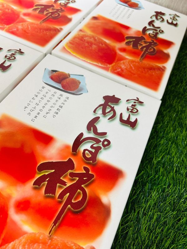 日本富山柿餅禮盒 