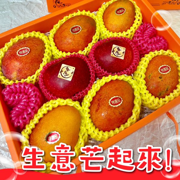 <精緻禮盒>D005-生意芒起來! 