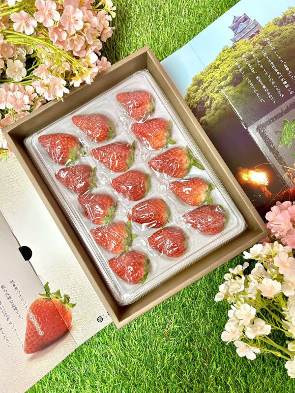 日本岐阜-華かがり (華篝) 