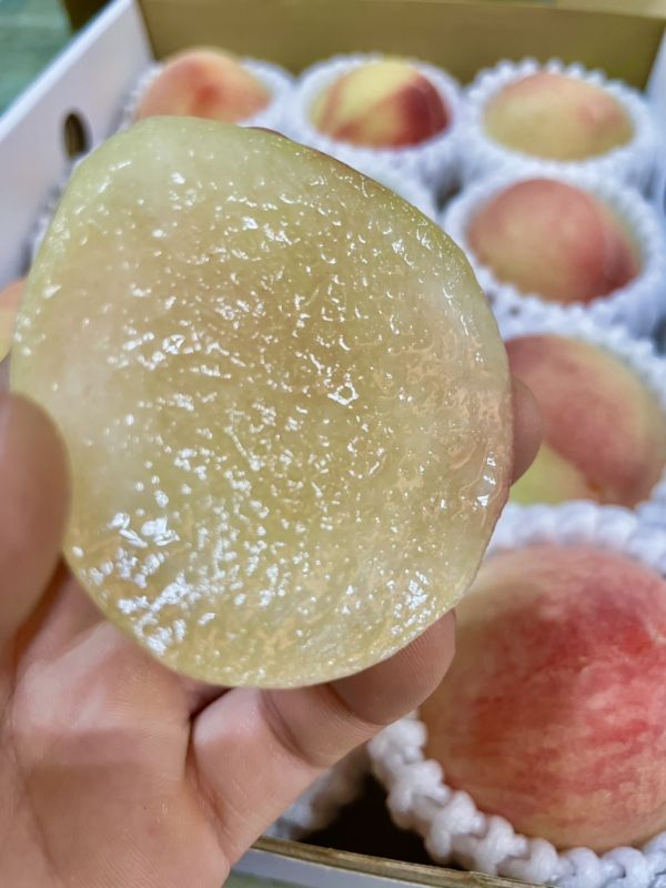 加州壽康水蜜桃 