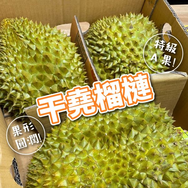 【絕讚】干堯榴槤 