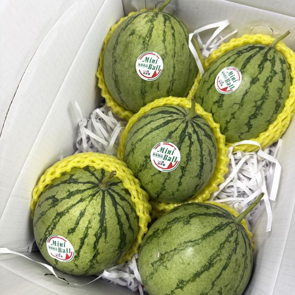 掌心西瓜 