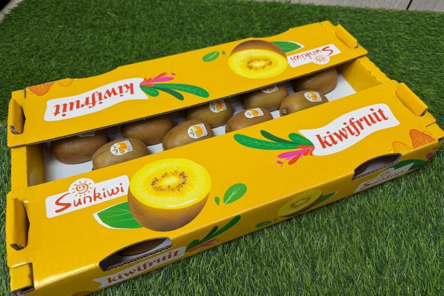 黃金奇異果22規原裝 